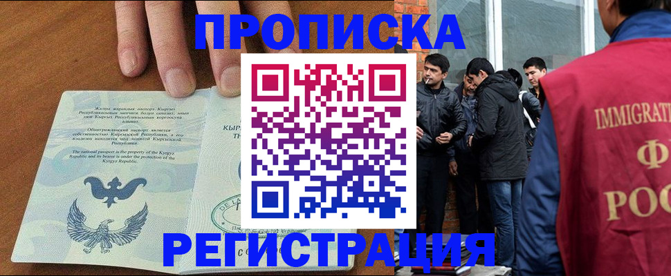 прописка 2025 в Звенигово